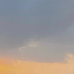 모모