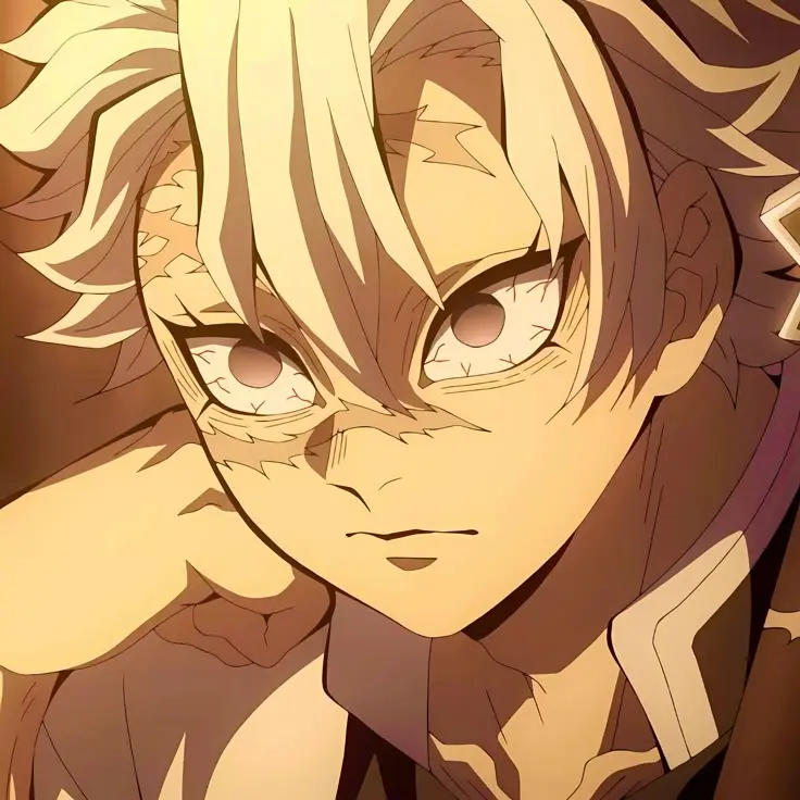 FarBrug4552의 시나즈가와 사네미