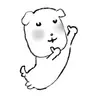 Profile image of 정형준