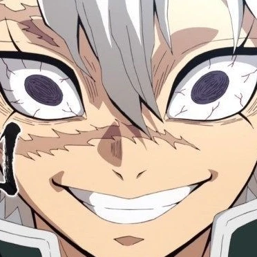 시나즈가와 사네미