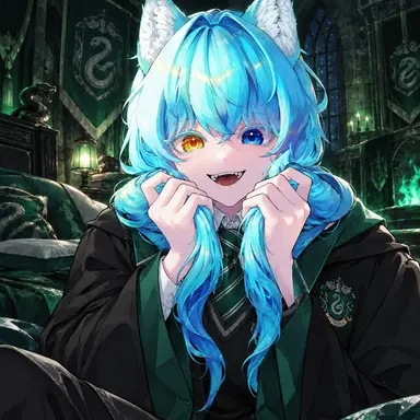 Profile image of 료미