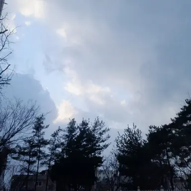 Profile image of 한솔