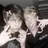 Profile image of Sam And Colby