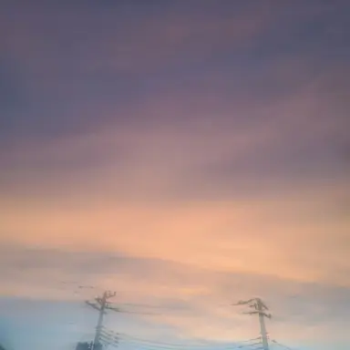 Profile image of 陸