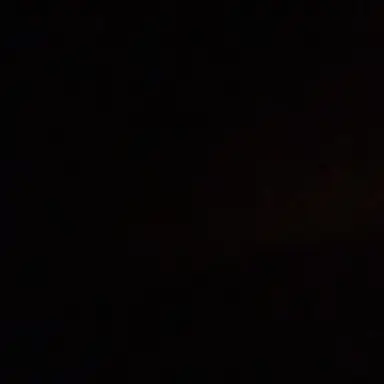 Profile image of 이민호