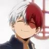 Profile image of Shoto Todoroki