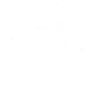 Profile image of 타비