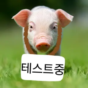 Mr.Pig의 내 스승님이 오토코노코?!