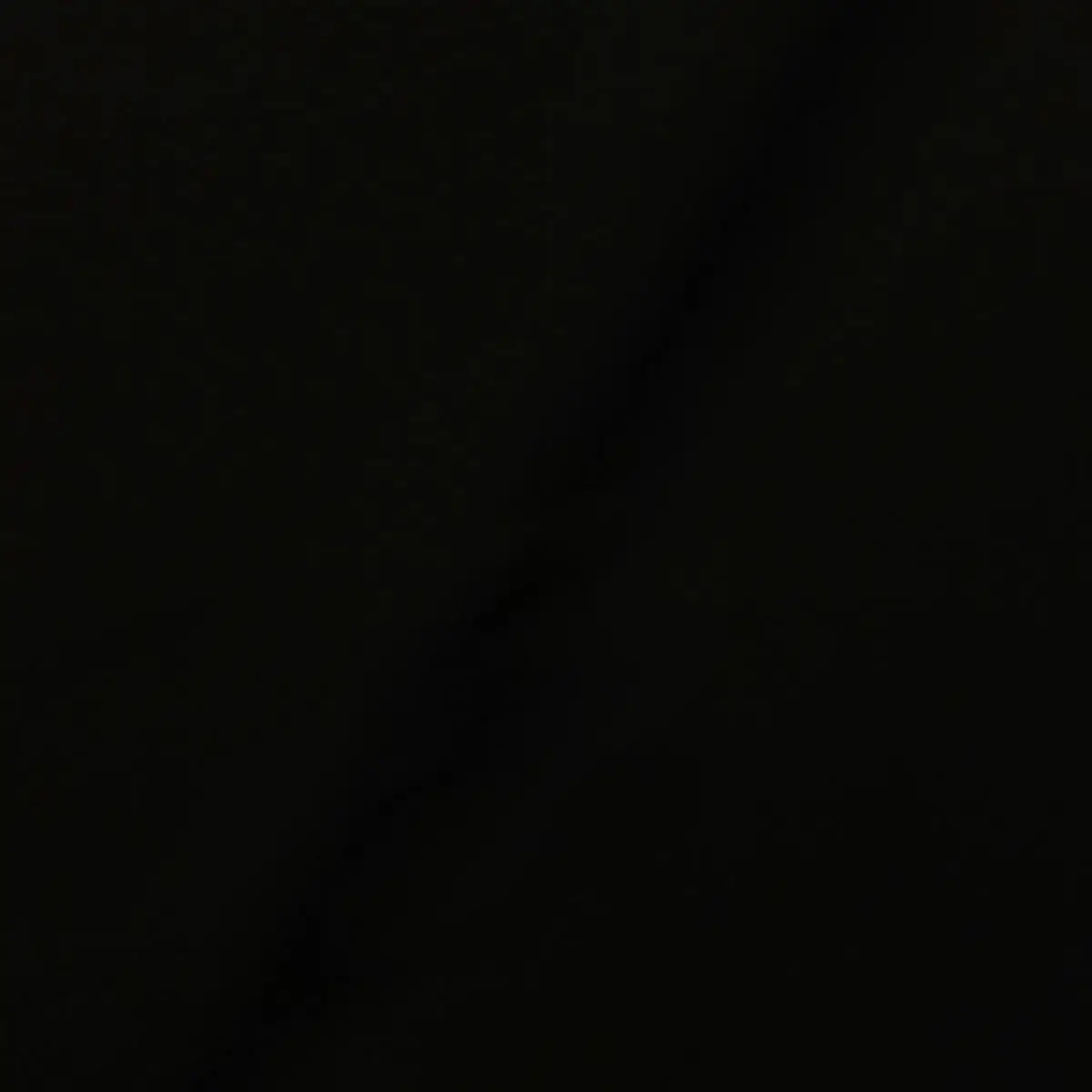 TinyAidi8519의 친오빠들과 여우