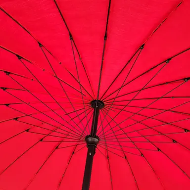 Profile image of 中国