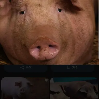 Profile image of 김정은