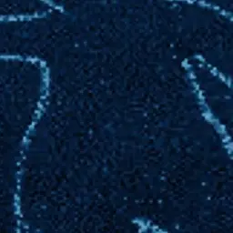 Profile image of 에우마이오스