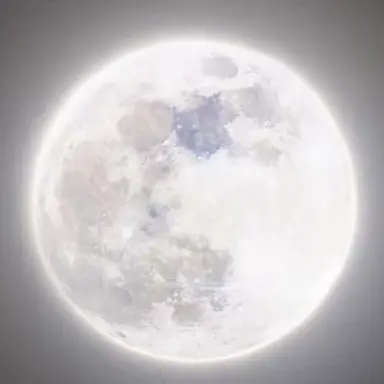 Profile image of 佐野 柔太郎