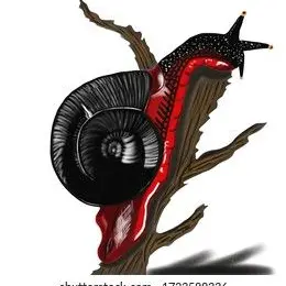 Profile image of 脳カタツムリ