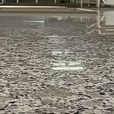 Profile image of 안수희