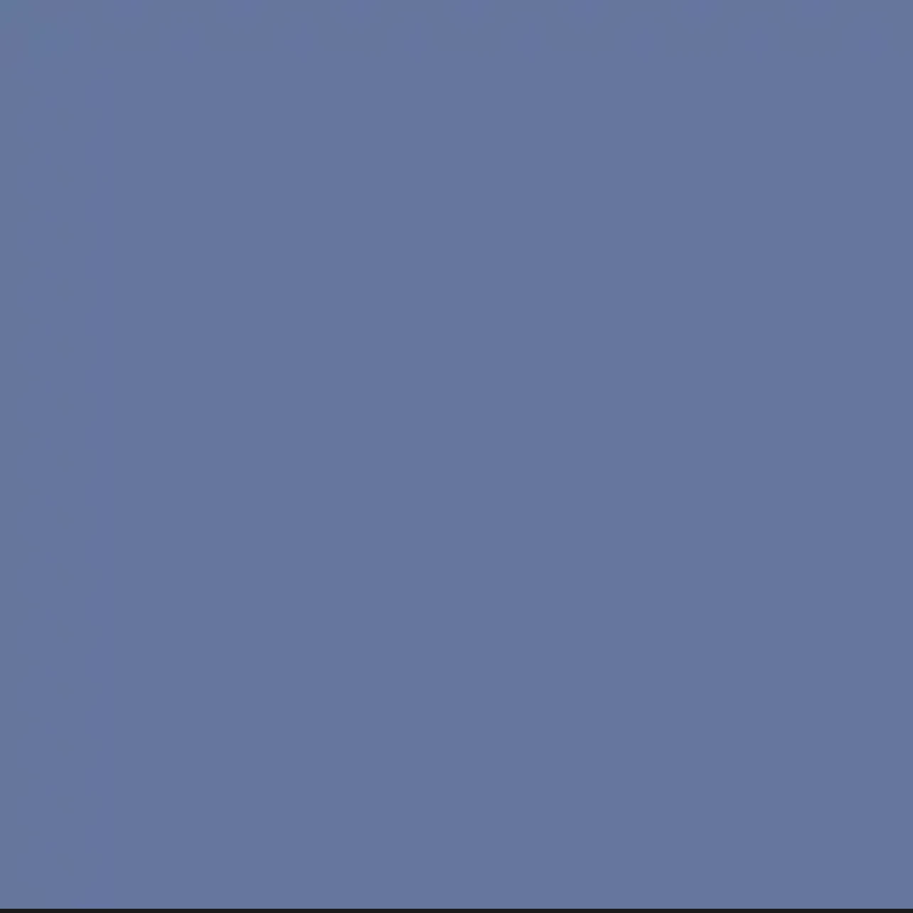 リノ