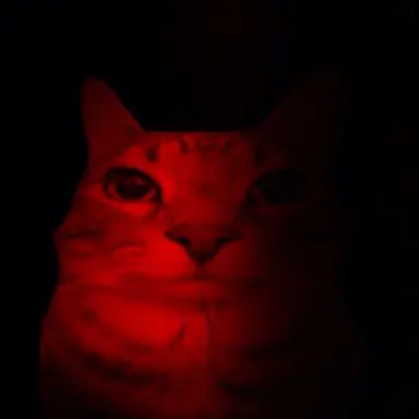 Profile image of DANGER