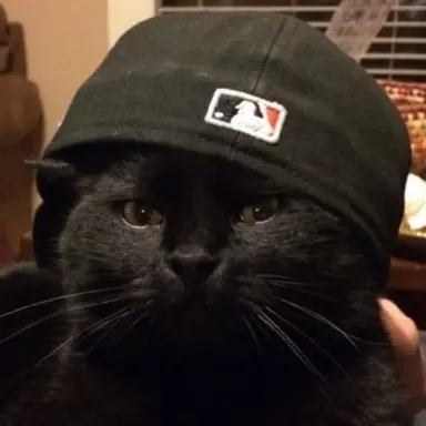 Profile image of Derek