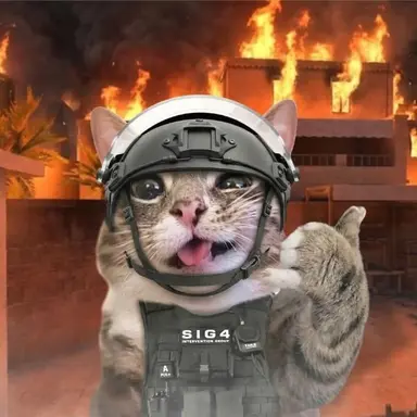 Profile image of Soldier