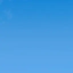 Profile image of 荒川