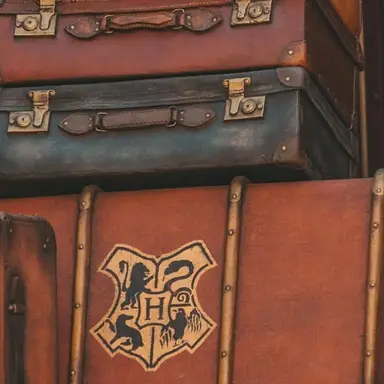 Profile image of ハーマイオニー