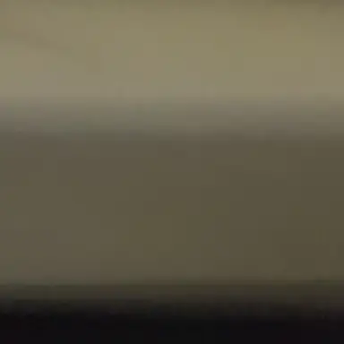 Profile image of 귀신