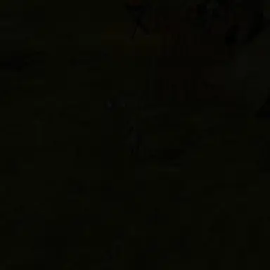 Profile image of 승철