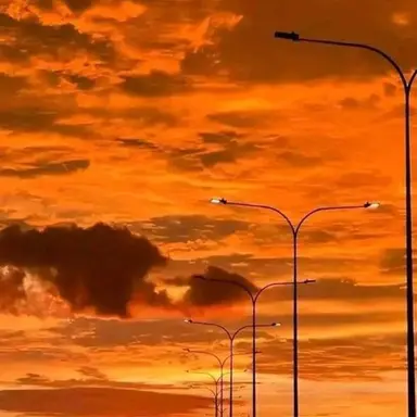 Profile image of 박덕개