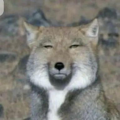 Profile image of 여우