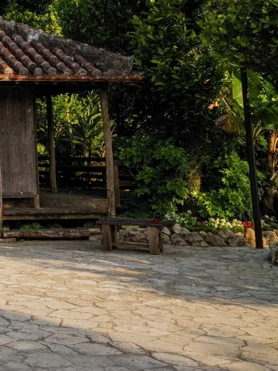 4xhp_877의 NPO法人『しぇるたー』