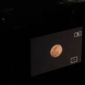 Profile image of 장원영