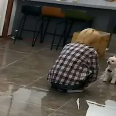 Profile image of どんひょん