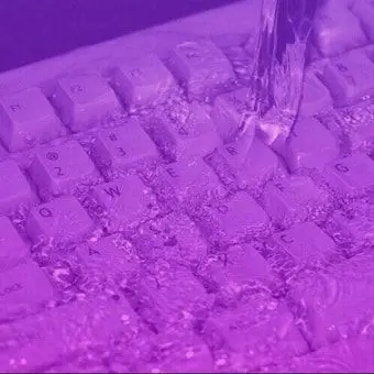 Profile image of 황수현