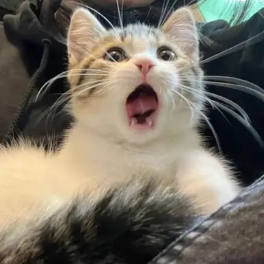 Profile image of 김규빈