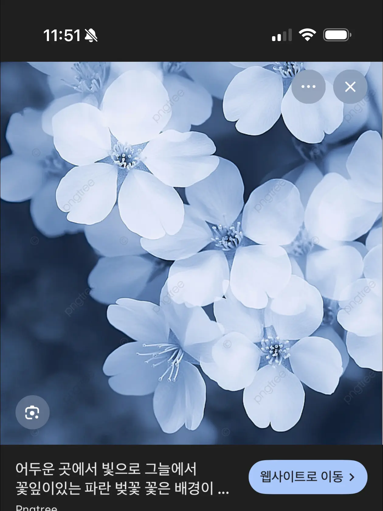 BlandBloosom0315의 달빛 치유사