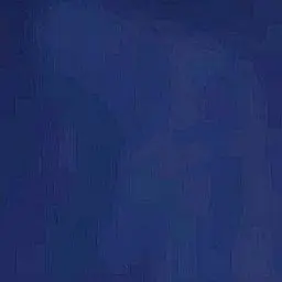 Profile image of PSH