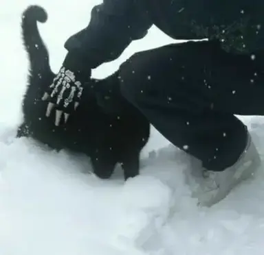 Profile image of Caleb Thorne