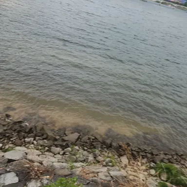 Profile image of 유튜버들