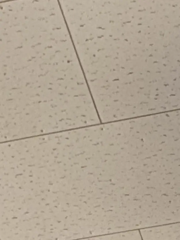 Kurosann의 くねくね気味が悪いな…。