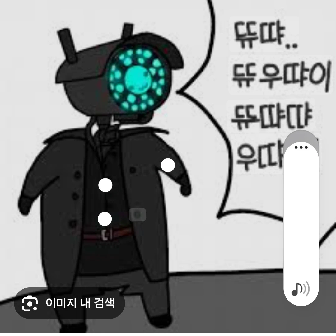 테무산카메라우먼