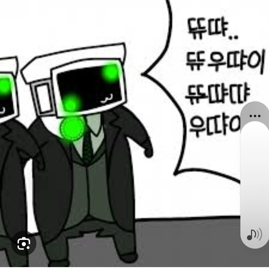 테무산쌍둥이카메라맨