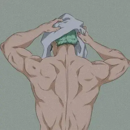 RealHoist8823의 Roronoa Zoro