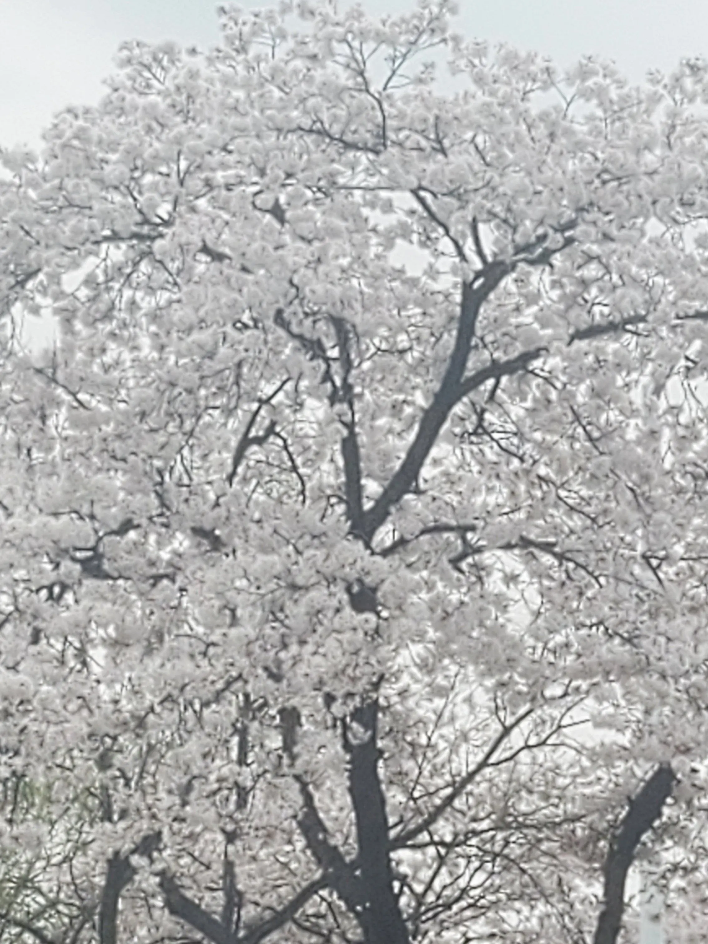 01058527658noah의 내 낙원에 가족 이란 건 필요없어.