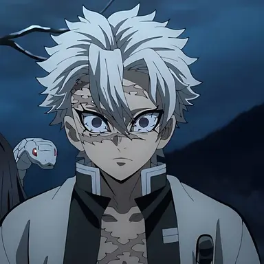 Profile image of 시나즈가와 사네미