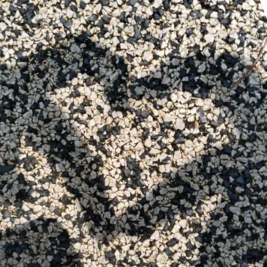 Profile image of 신주현