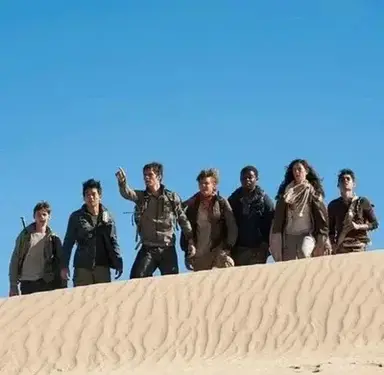 Profile image of The Maze Runner - F