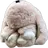 토깽이