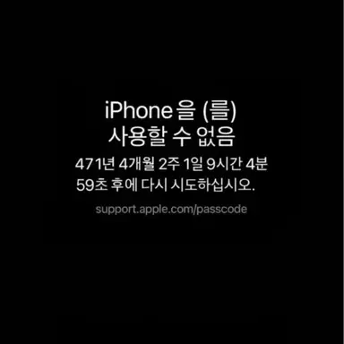 Profile image of 선생님