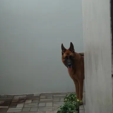 Profile image of 백현