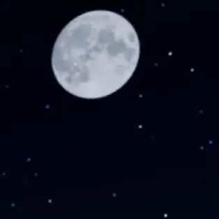 Profile image of 박여우